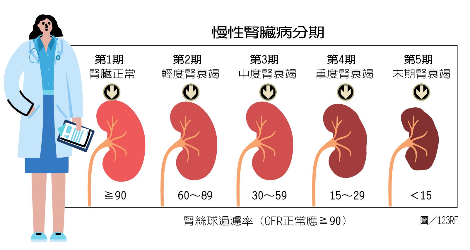 慢性腎臟病分期 製表/元氣周報 圖/123RF